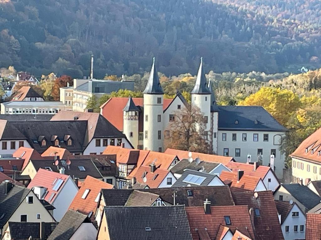 Апартаменты Wohnen Im Springerhof Lohr am Main Экстерьер фото