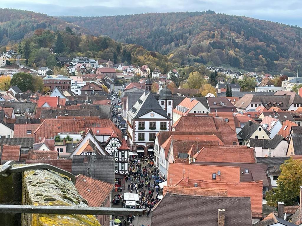 Апартаменты Wohnen Im Springerhof Lohr am Main Экстерьер фото