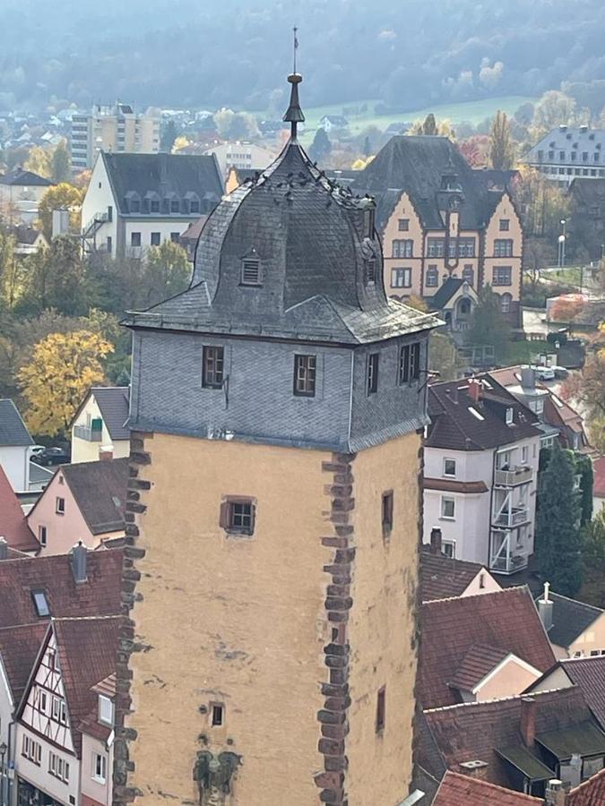 Апартаменты Wohnen Im Springerhof Lohr am Main Экстерьер фото